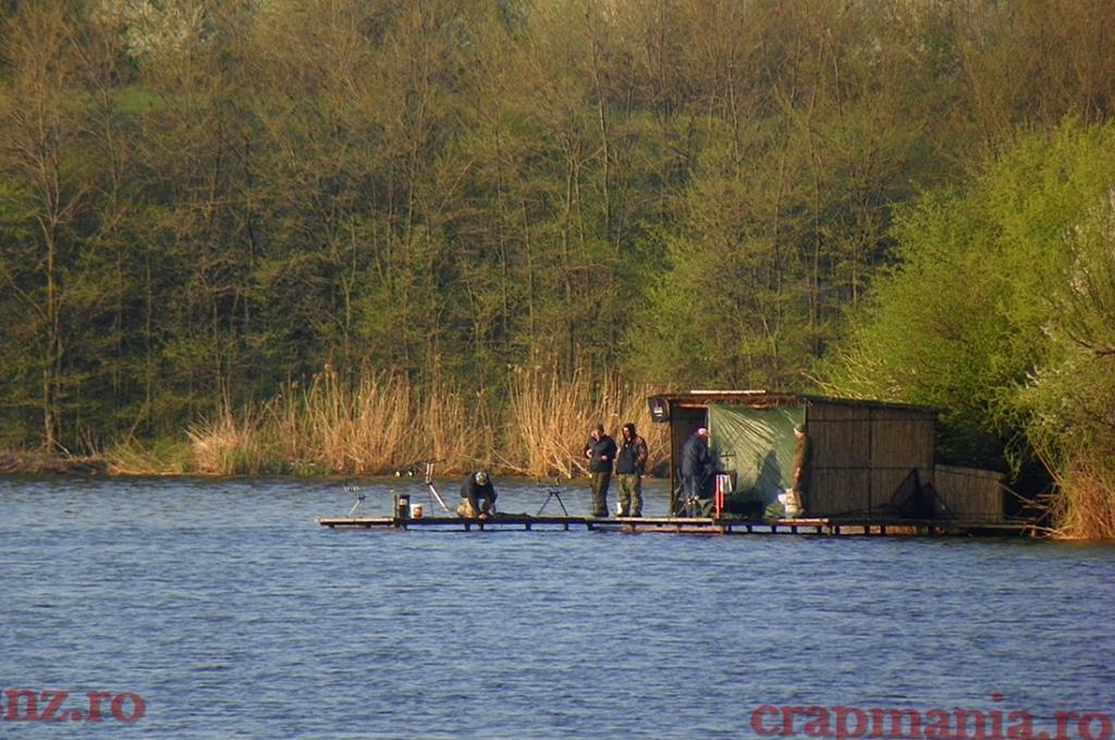 cupa SBS 2013 - 1011651.jpg